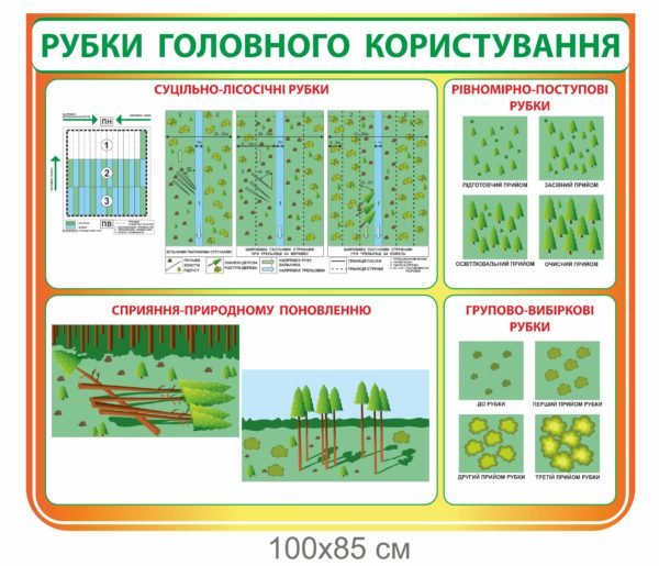 Стенд “Лісоводство”