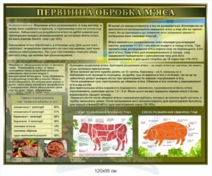 Стенд “Первинна обробка м’яса”