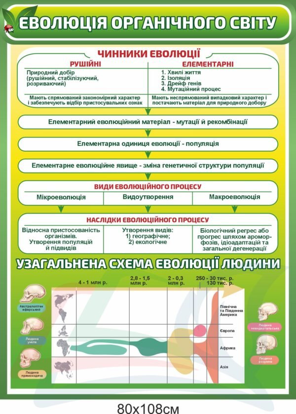 Стенд з біології “Еволюція органічного світу”