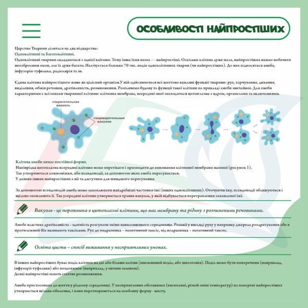 Стенд з біології “Особливості найпростіших організмів”