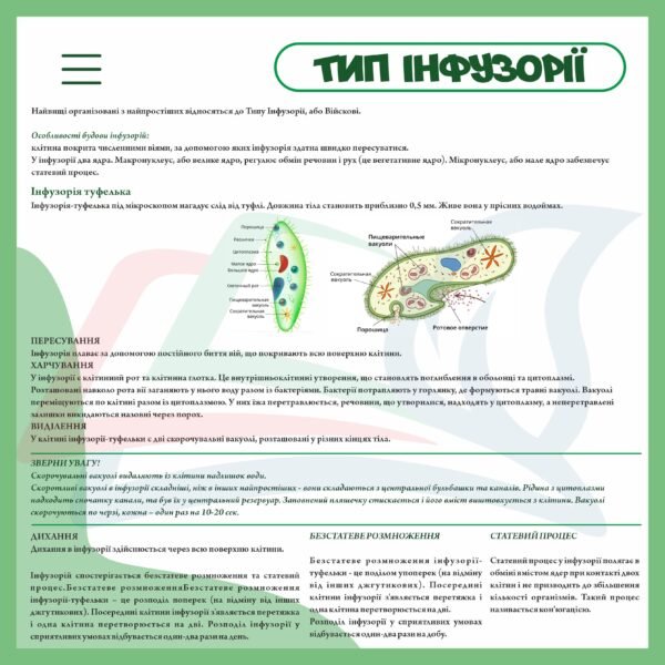 Стенд з біології “Тип інфузорії”