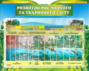 Стенд з біології “Розвиток тваринного та рослинного світу”