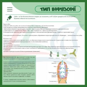 Стенд “Тип інфузорії”