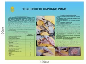 Стенд “Технологія обробки риби”